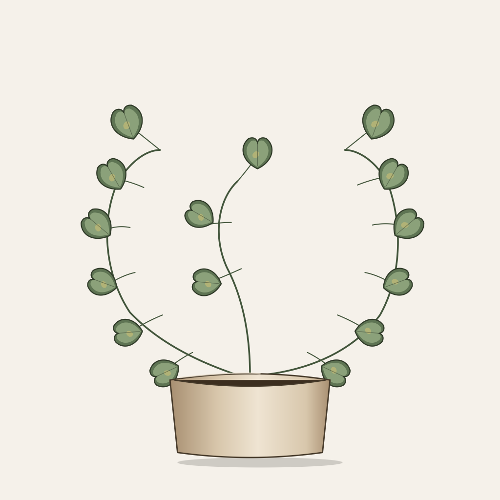 Golden pothos, Epipremnum aureum