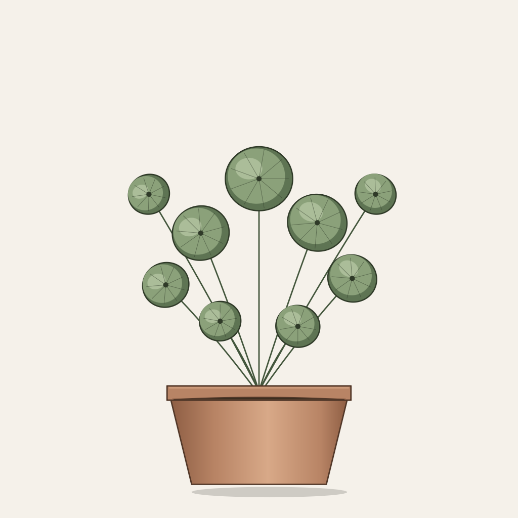 Chinese money plant, Pilea peperomioides